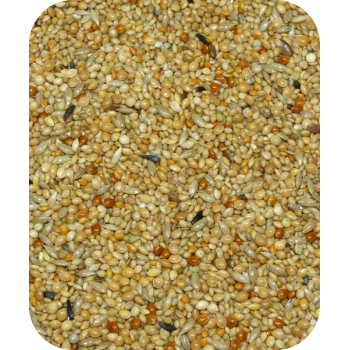 Deli Nature - 41 Egzotyka rozpłodowa - 1kg (dla drobnej egzotyki)